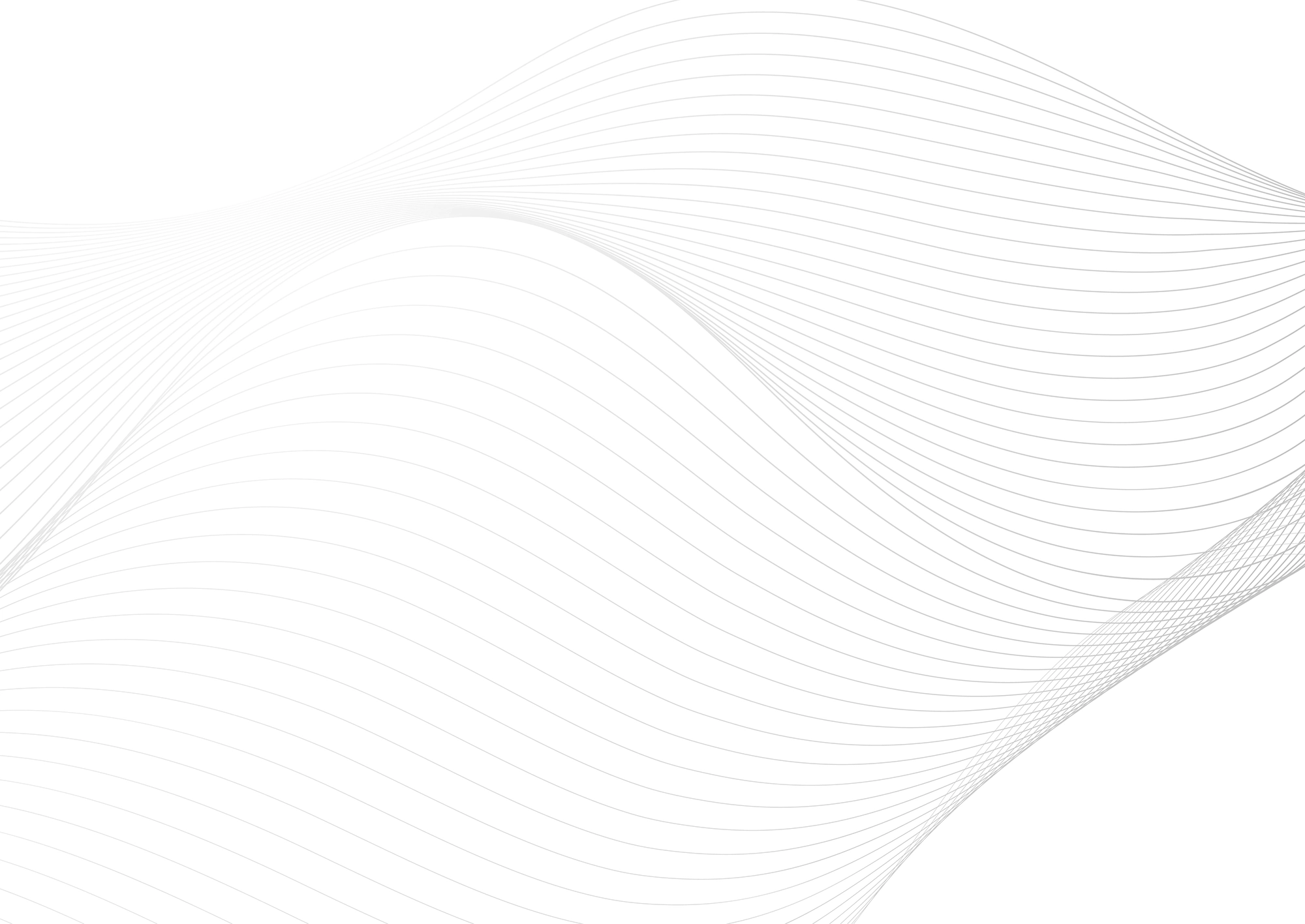 Web Site Tasarımcısı, Hamamözü